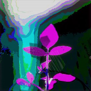 crèvent