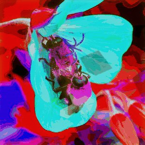 appariant